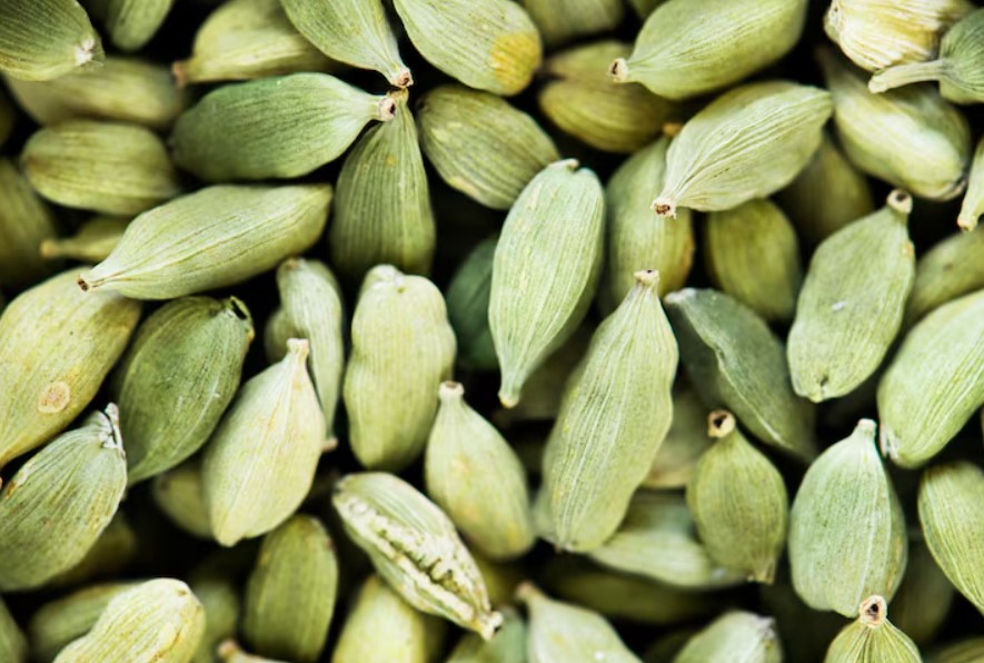 Cardamom