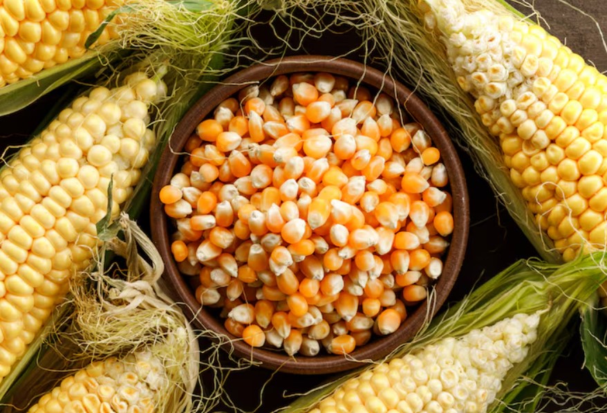 Maize
