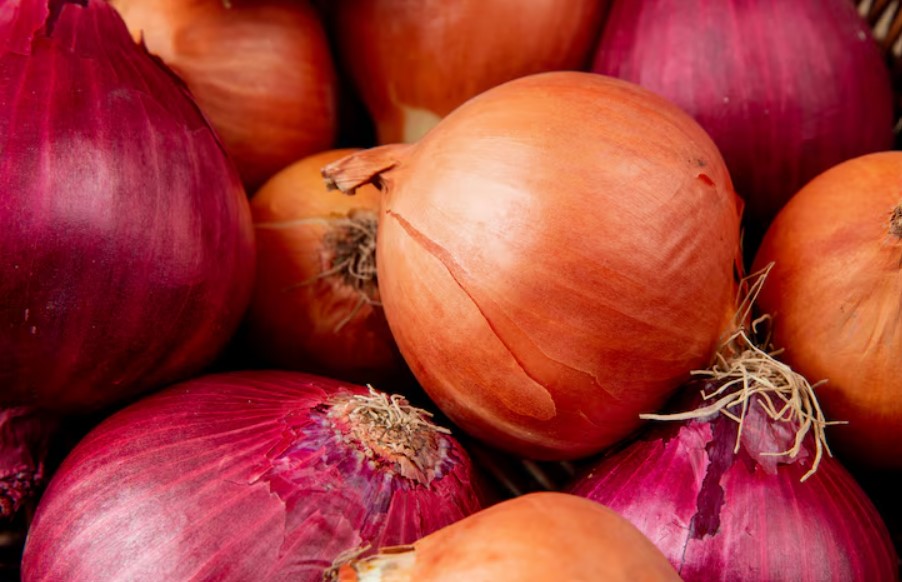 Fresh Onion